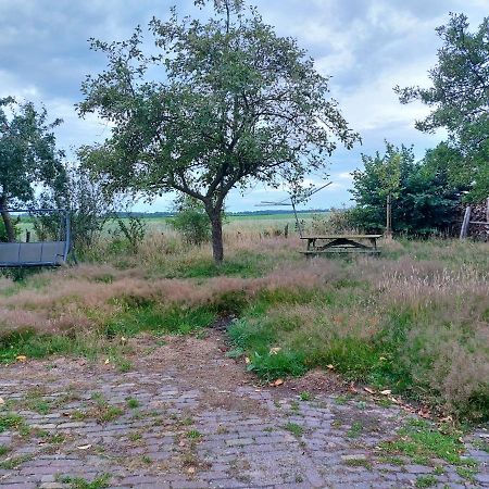 Logeerruimte In Gerenoveerde Boerderij In Wachtum 아파트 외부 사진