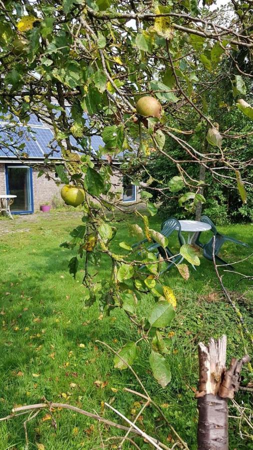 Logeerruimte In Gerenoveerde Boerderij In Wachtum 아파트 외부 사진
