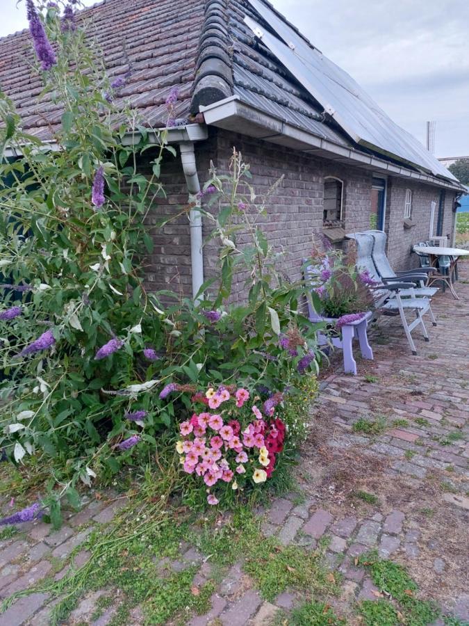 Logeerruimte In Gerenoveerde Boerderij In Wachtum 아파트 외부 사진