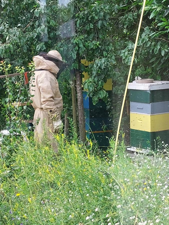 Logeerruimte In Gerenoveerde Boerderij In Wachtum 아파트 외부 사진